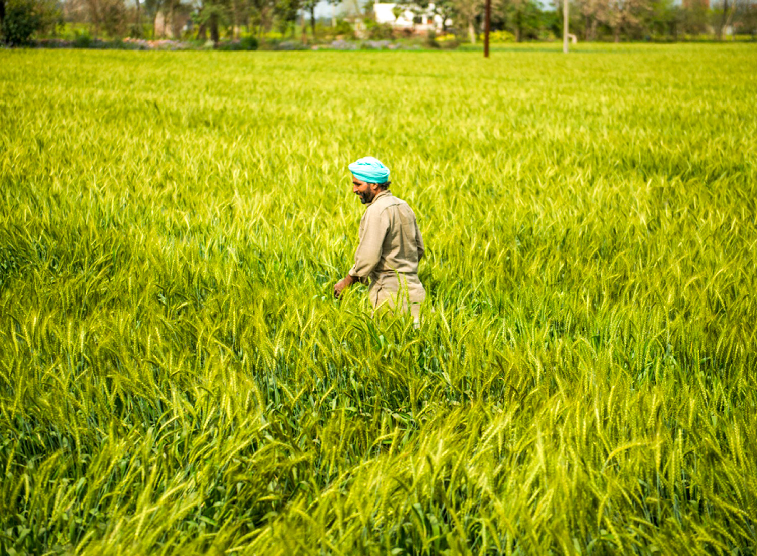Farmers and agriculture