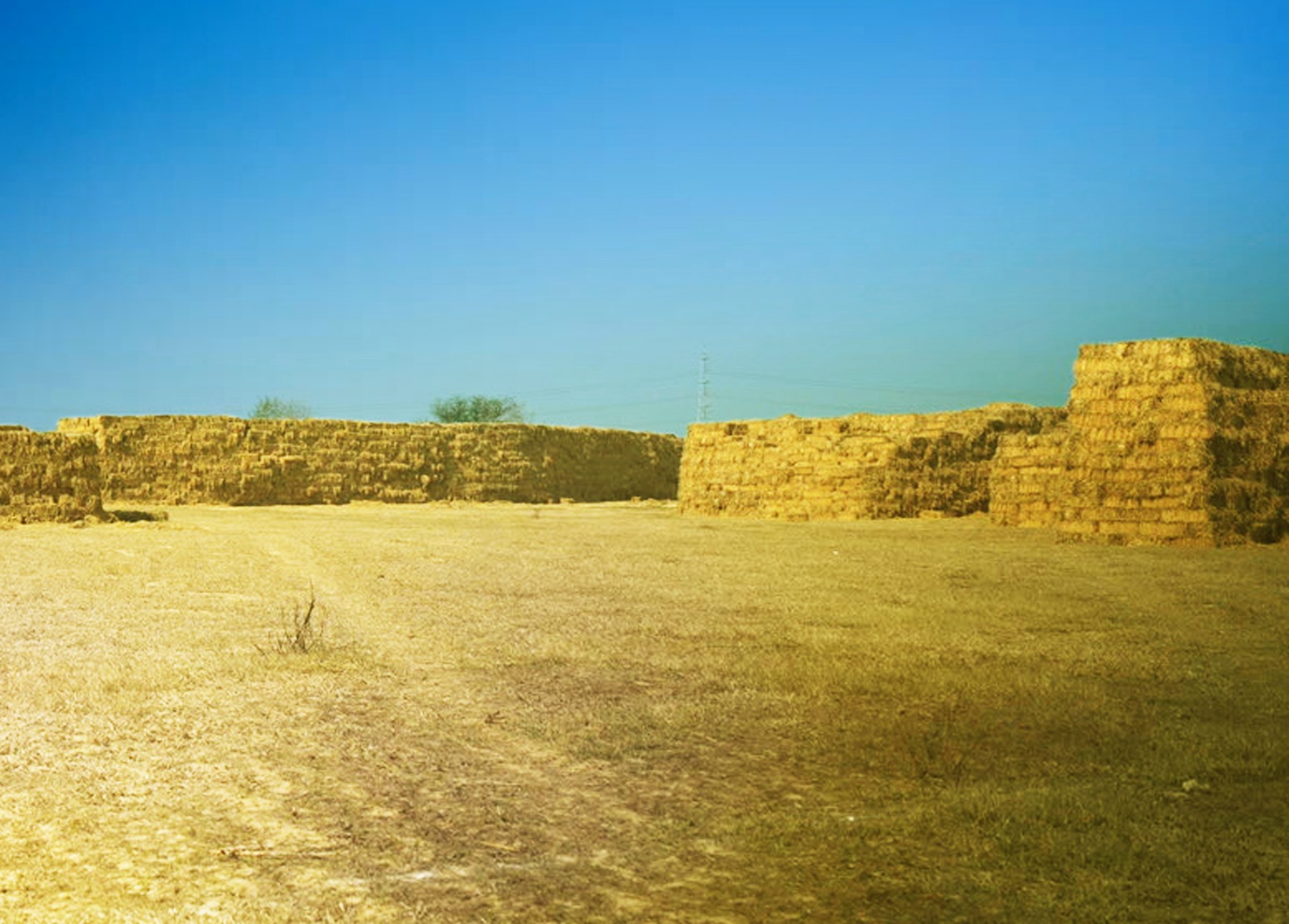 Biomass supply chain